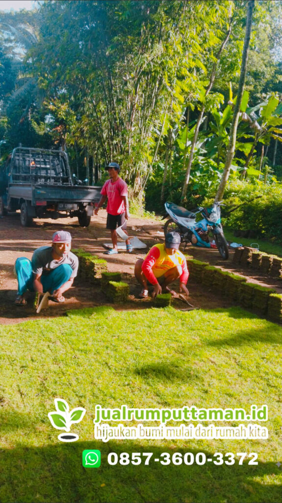 jual rumput taman karawang