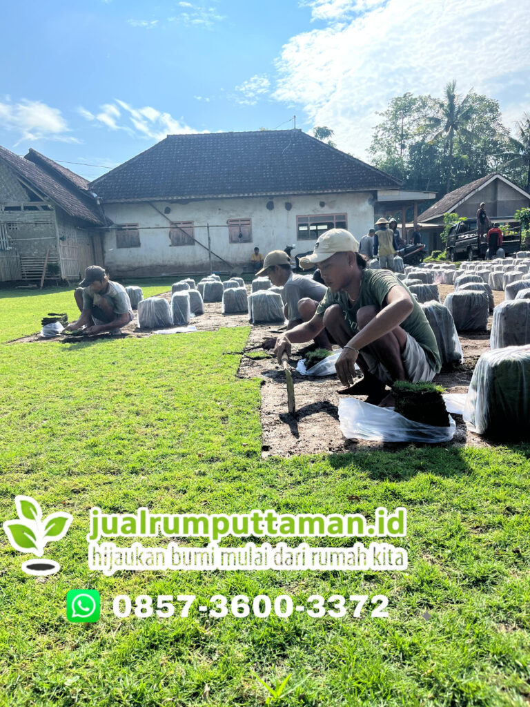 rumput kota bandung