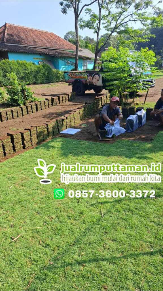 rumput taman terbaik bandung