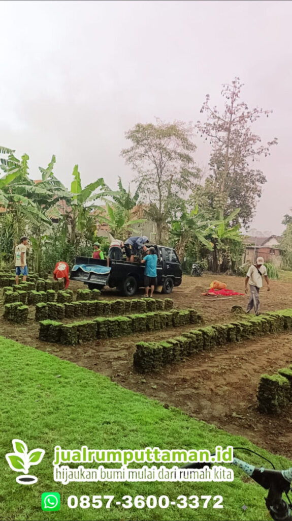 harga rumput taman kota tasikmalaya