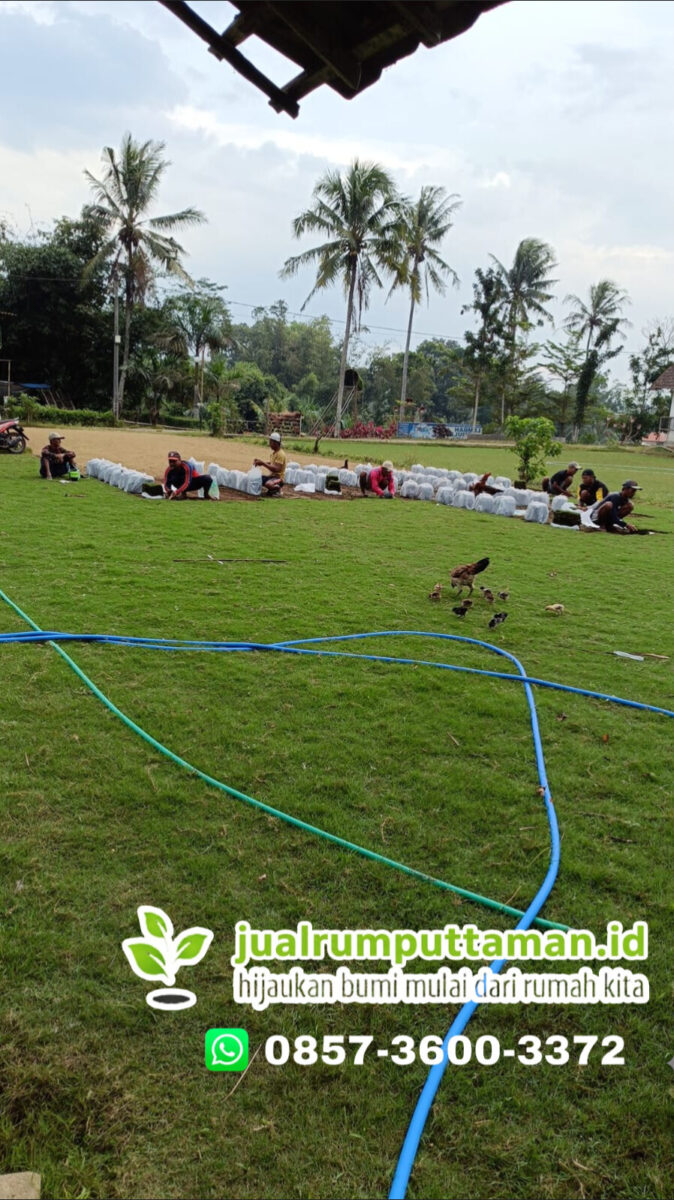 jual rumput golf kota bekasi