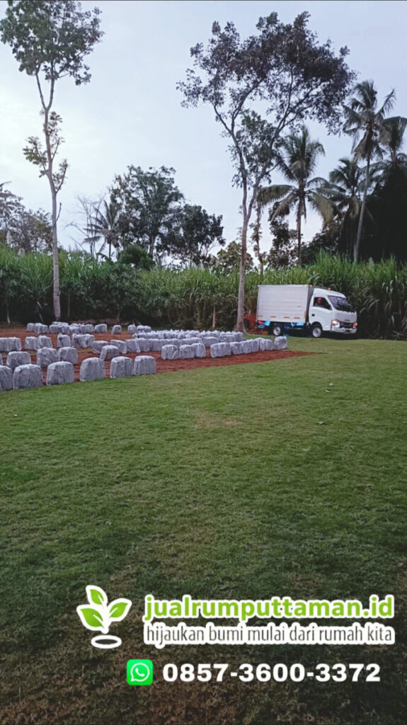 supplier rumput golf tasikmalaya