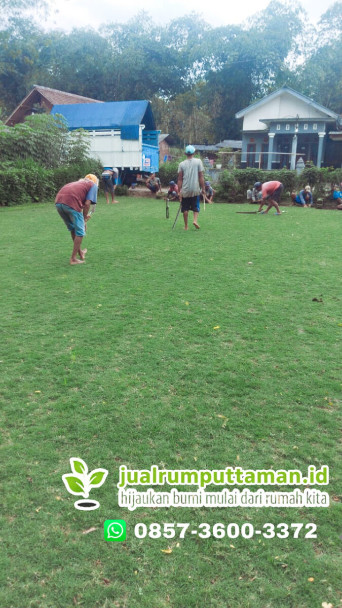 jual rumput golf kota sukabumi