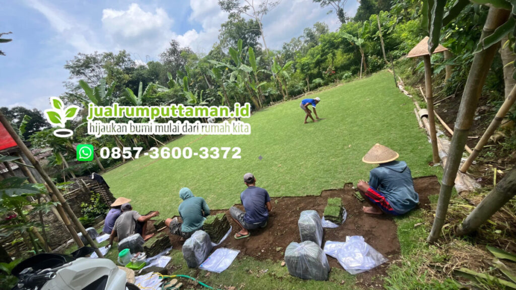rumput taman kota banjar