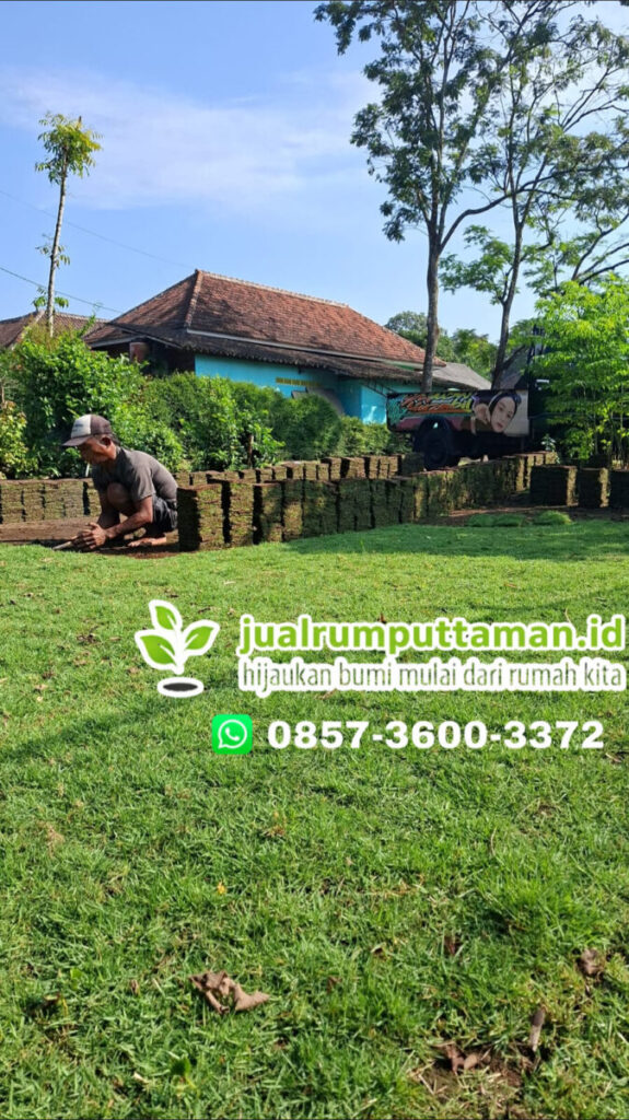 rumput taman kota banjar