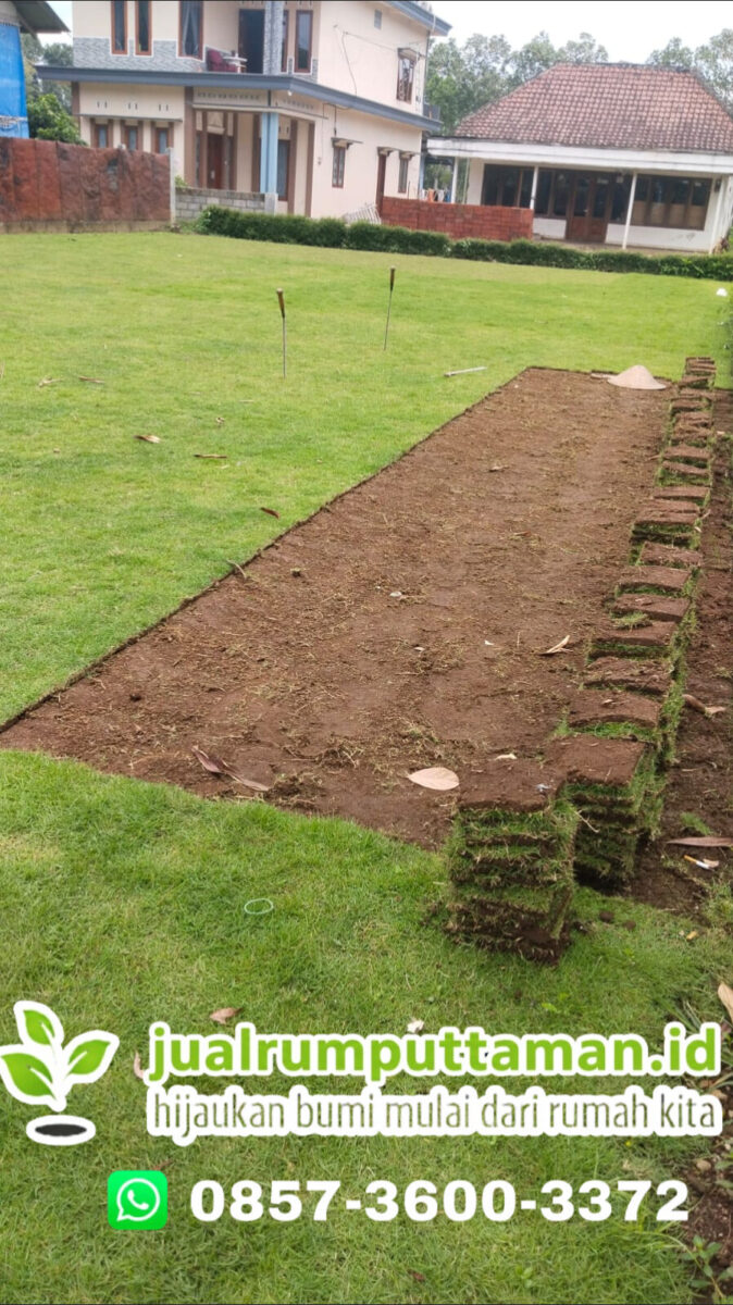jual rumput golf jakarta utara