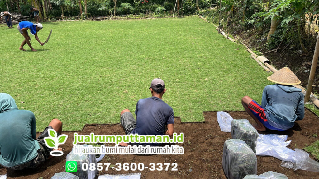 harga rumput taman jakarta timur