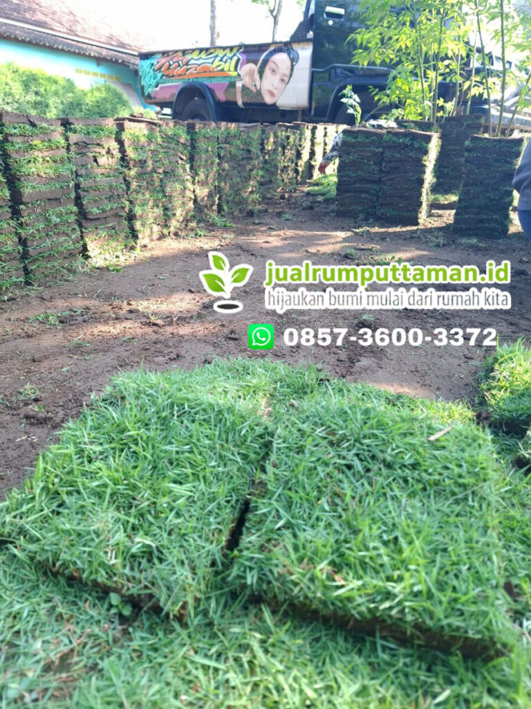 harga rumput golf klungkung