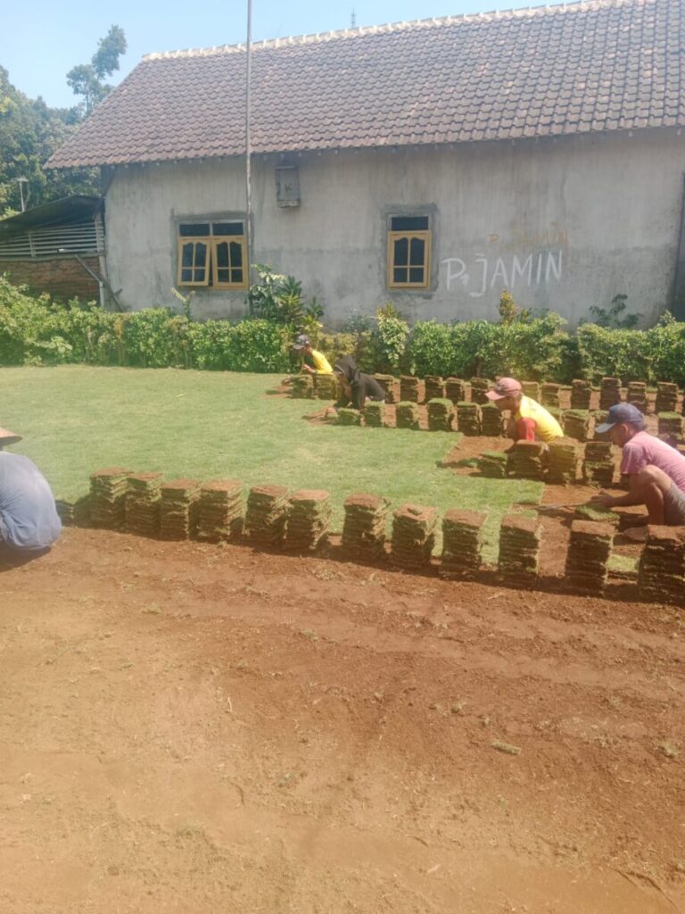 jual rumput golf tangerang