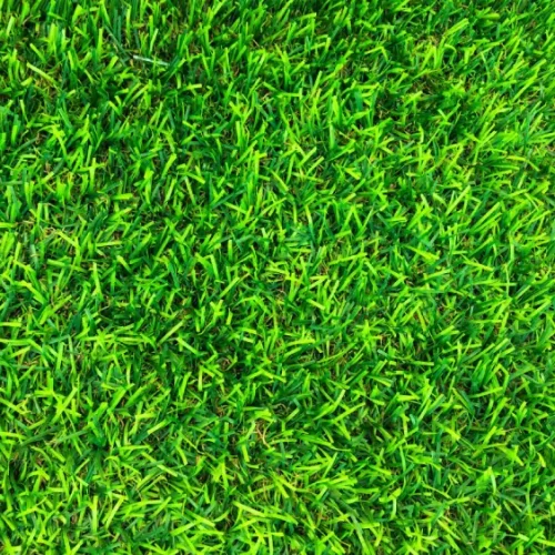 beautiful-green-grass-pattern-from-golf-course-for-background-copy-space-for-work-and-design-top-view-free-photo