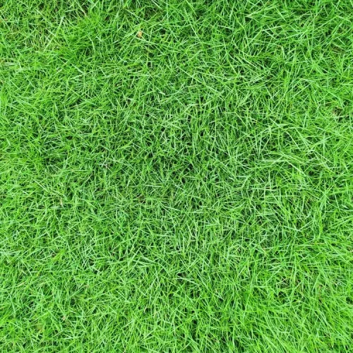 shutterstock_1611700555